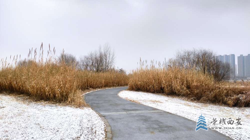20220121104956front2_0_615410_FvYftOkhN5i7ZV8v6rvj26L0Sg0a.jpg
