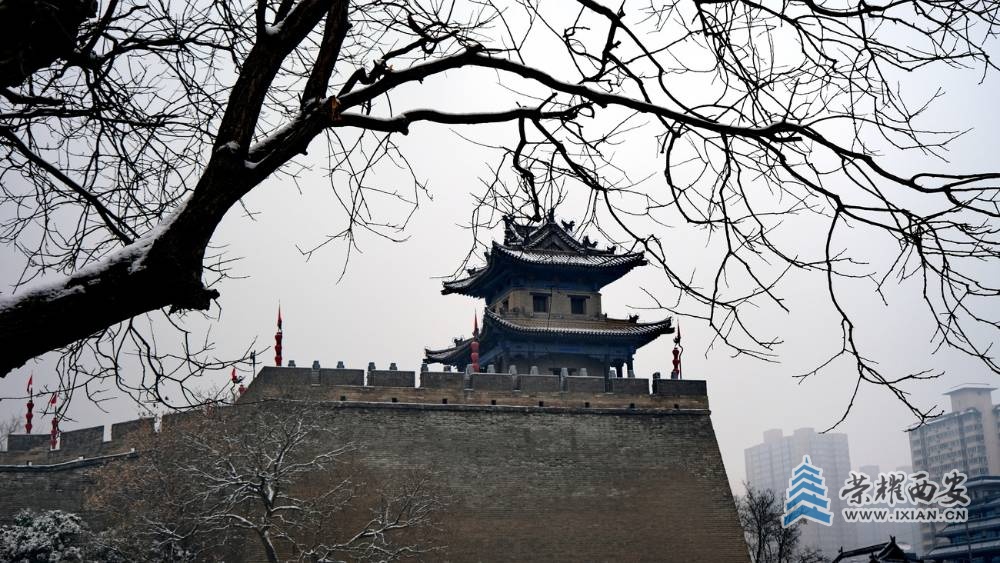 雪景  严建设0016.JPG