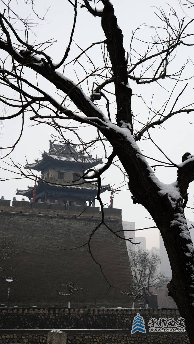 雪景  严建设0028.JPG