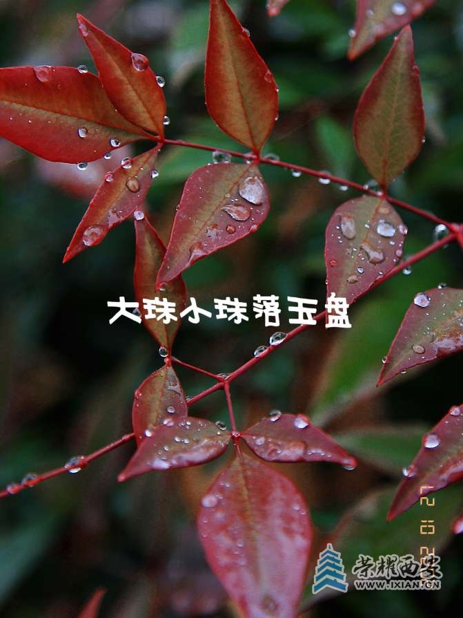 20220127201512front2_0_627177_FunliZ1G4lm8qEtV8wdLx0SKYUMc.jpg