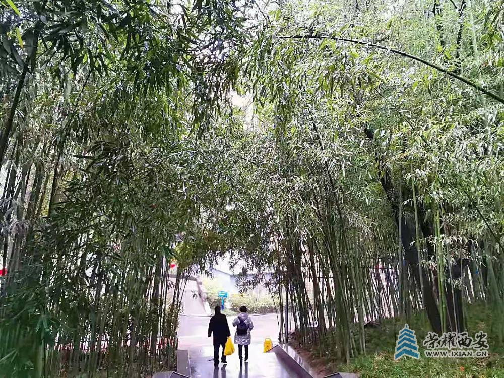 微信图片_20220128161745.jpg