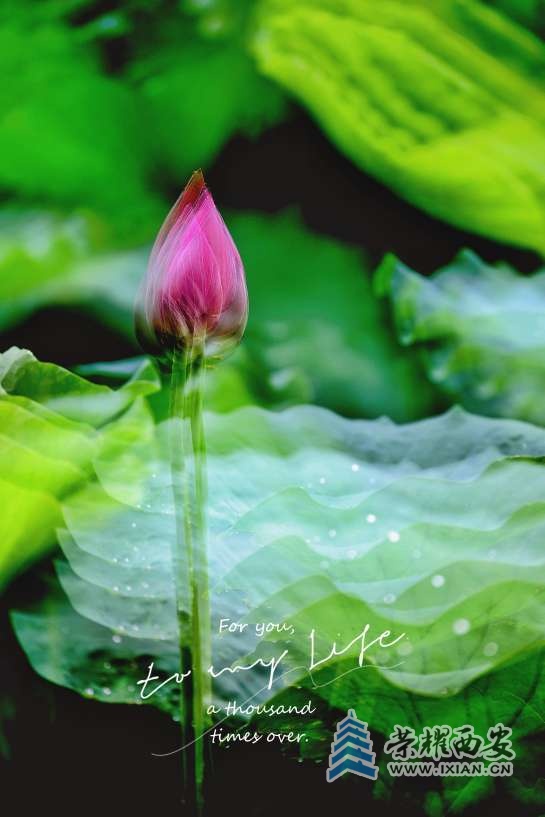 20220131143745front2_0_627177_Fkpr0lUaNH28aVwf-AKLoE3xLvj0.jpg