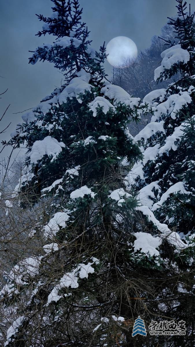 秦岭火车站 严建设43.JPG