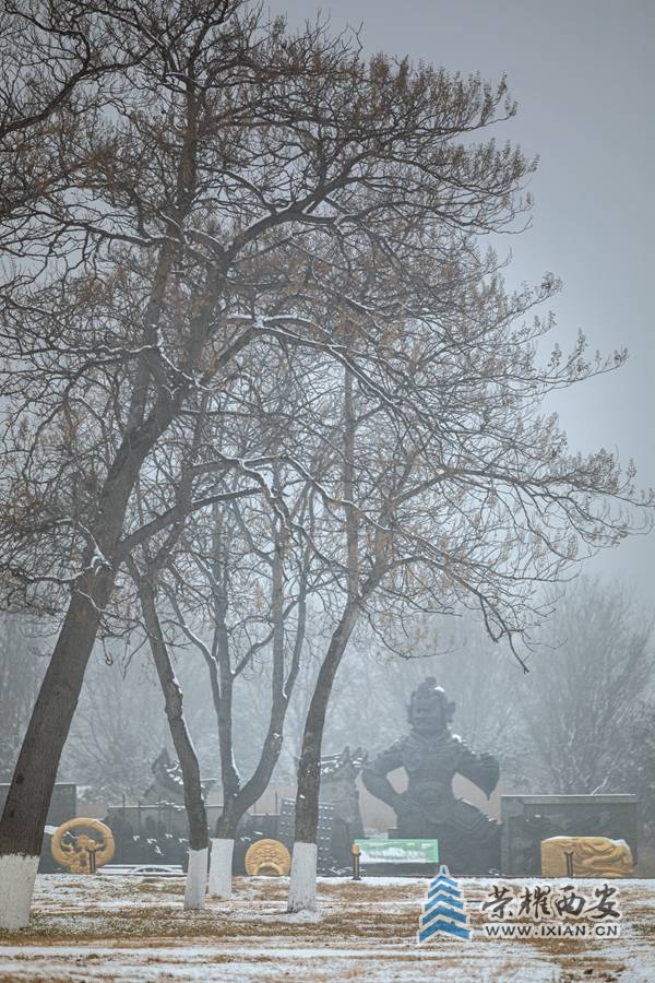 8H3A4355_副本.jpg