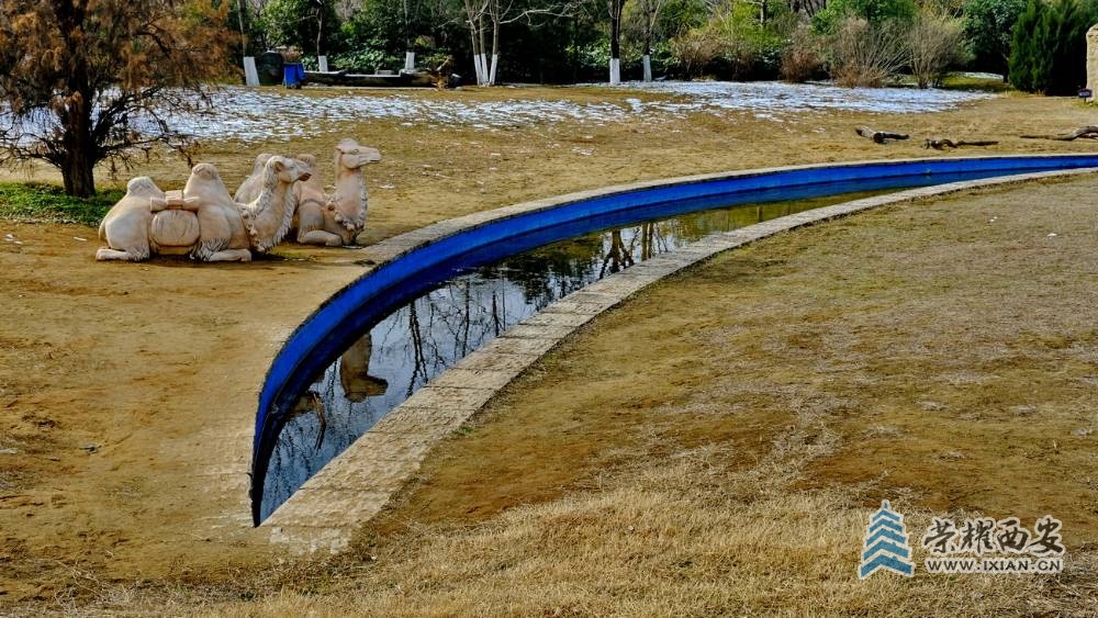 西安 严建设F17.JPG