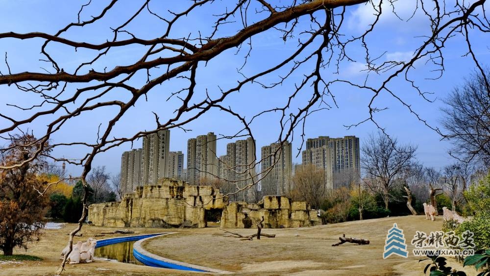 西安 严建设F18.JPG