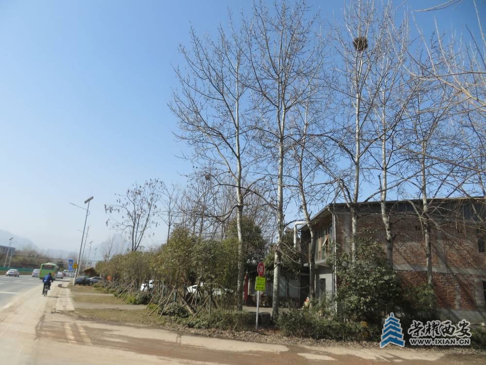 2-26奔驰 (51).JPG