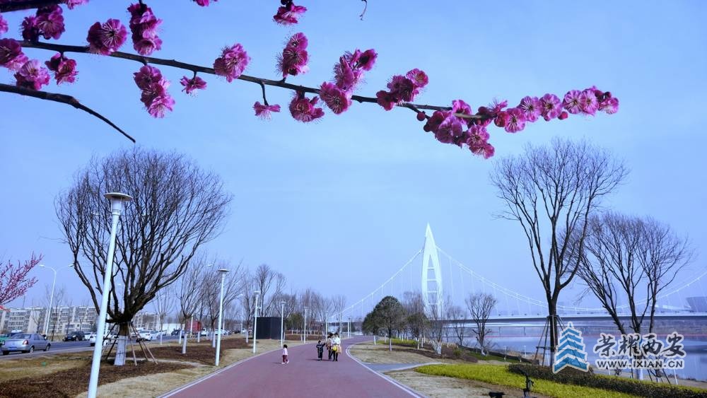 浐灞湿地公园 严建设09.JPG