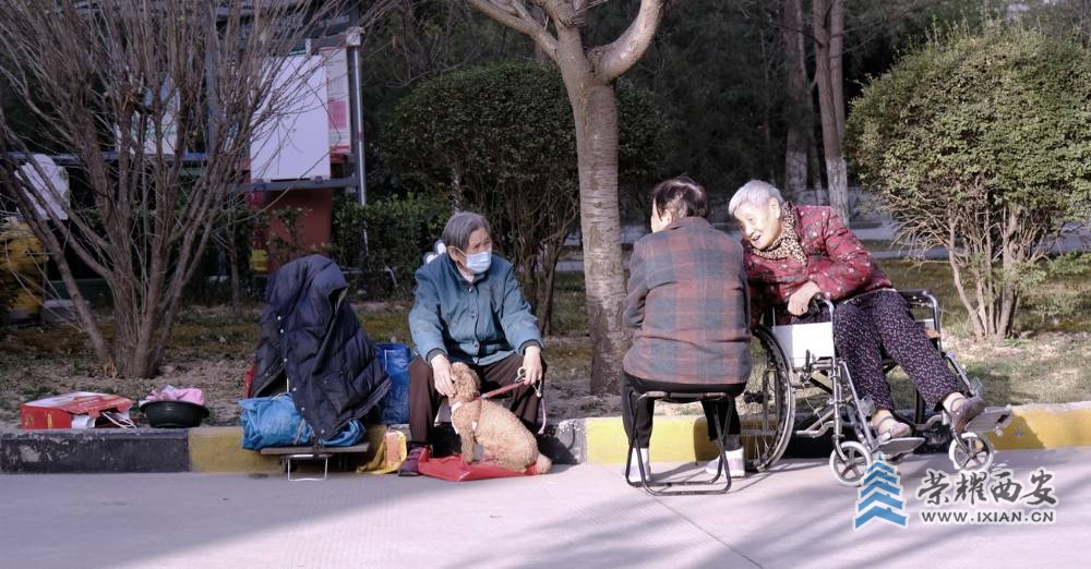 西安 严建设04.JPG