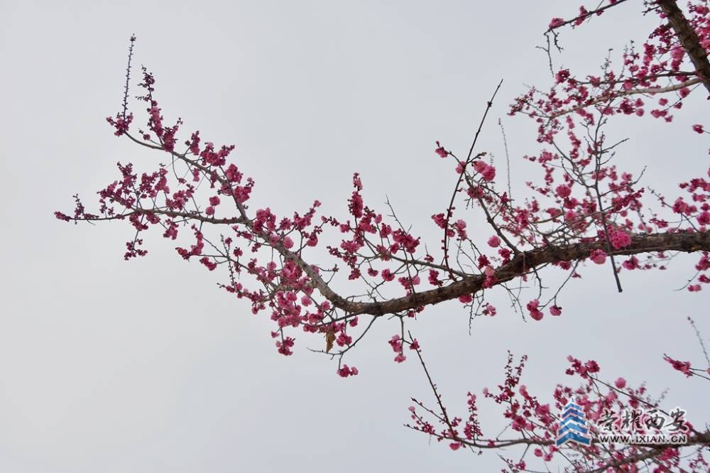 DSC_4169_副本.jpg