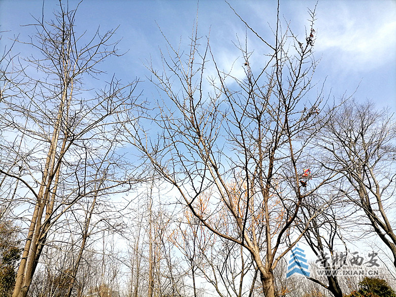 微信图片_20220302182145_副本.jpg