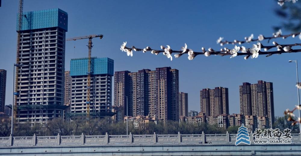 西安 严建设0013.JPG
