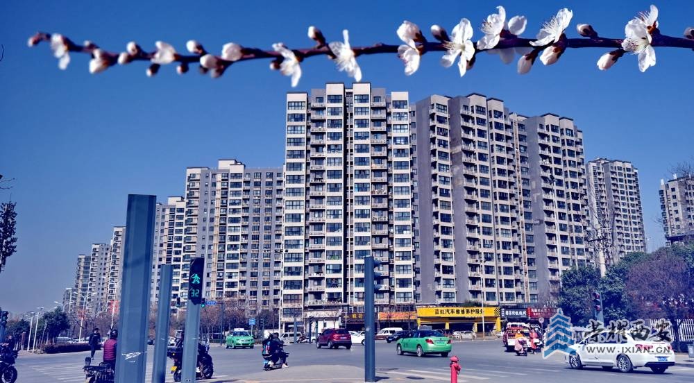 西安 严建设0016.JPG