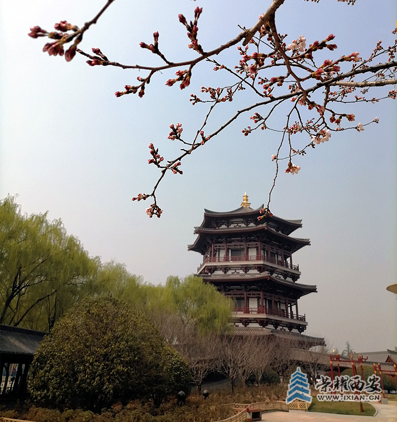 2f722108a72033439449fb71445151c_副本.jpg