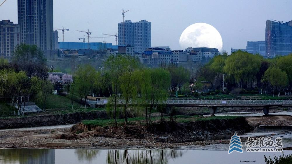 西安 严建设0004.JPG