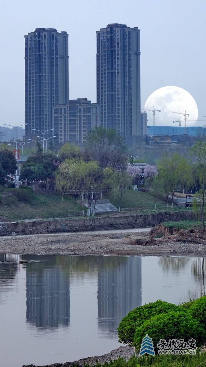 西安 严建设0039.JPG