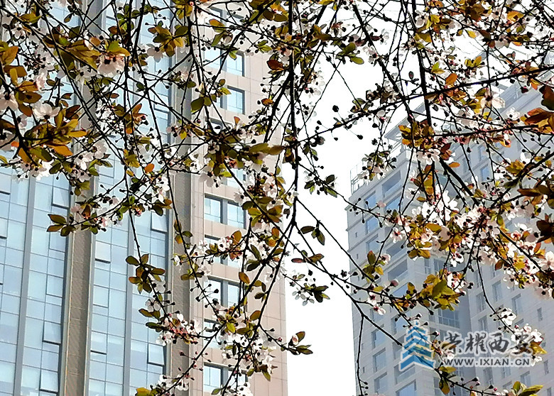 de62676a0b1db7115f0cdaf04950916_副本.jpg