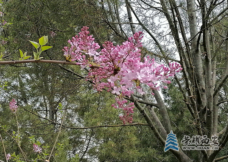 e7c261bd77f28503275f04e6b77b30d_副本.jpg
