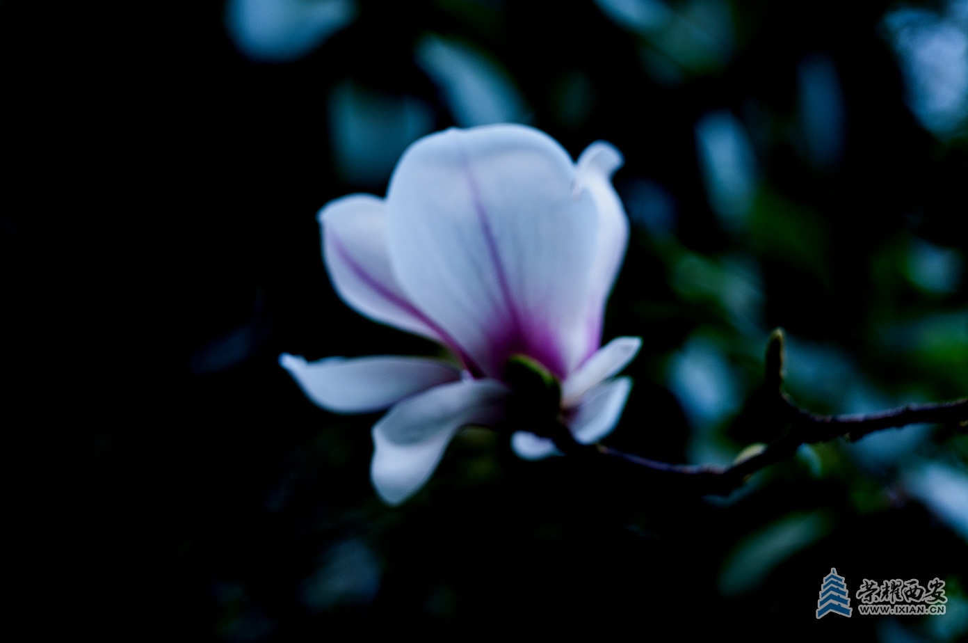 丰庆-009.jpg