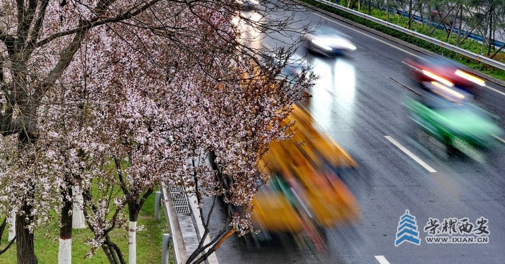 西安 严建设10.JPG
