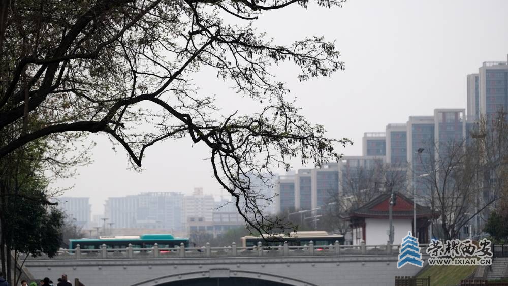 西安 严建设0011.JPG