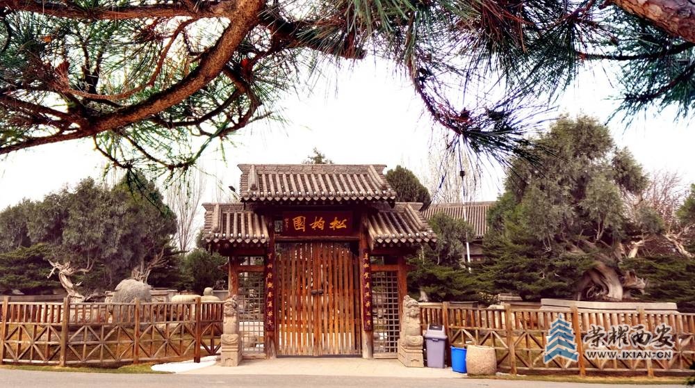 -唐苑 严建设0005.JPG