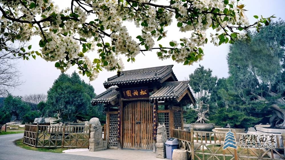 -唐苑 严建设0007.JPG