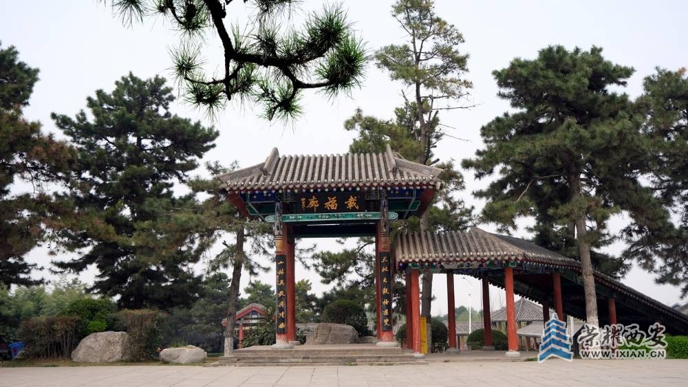 -唐苑 严建设0009.JPG