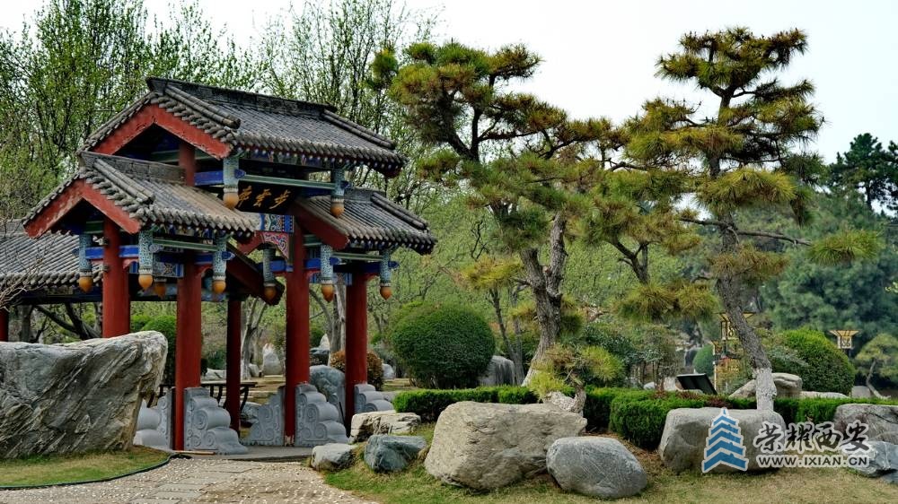-唐苑 严建设0011.JPG