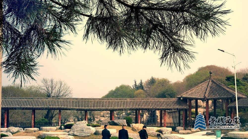 -唐苑 严建设0018.JPG
