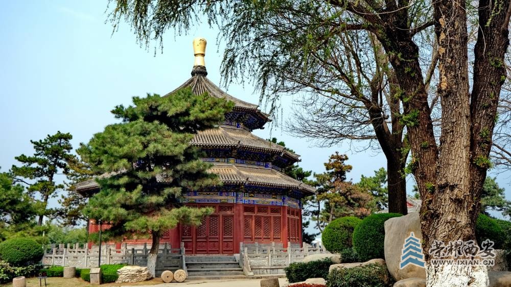 -唐苑 严建设0025.JPG