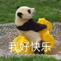 140555z0f8v2osuu5euspq.jpg