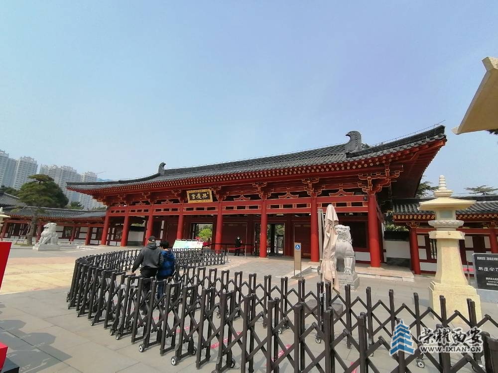 3-24兴庆宫 (1).jpg