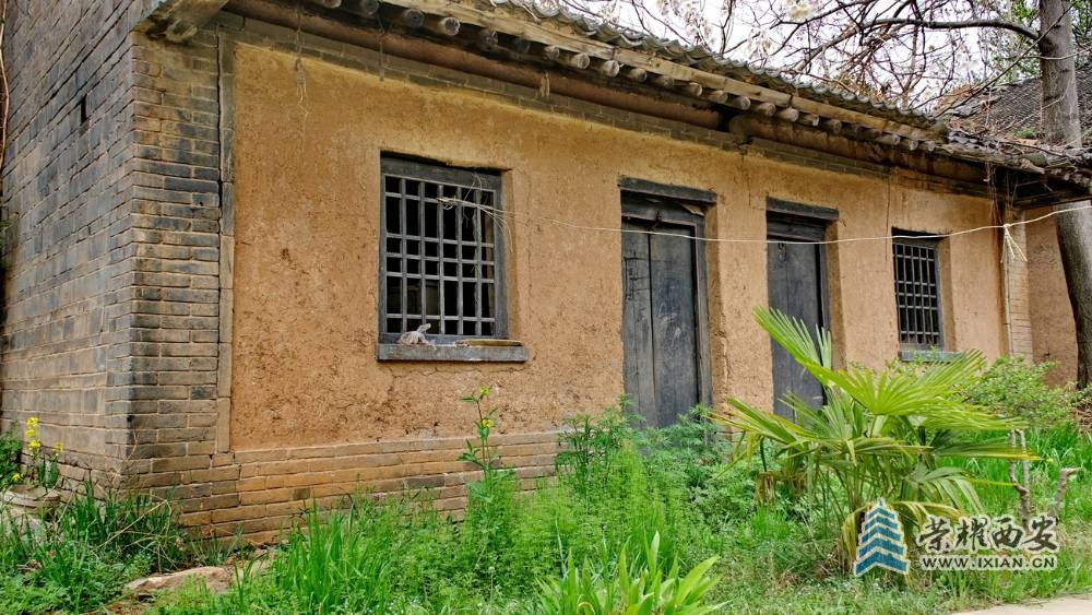 -劳动村 严建设31.JPG