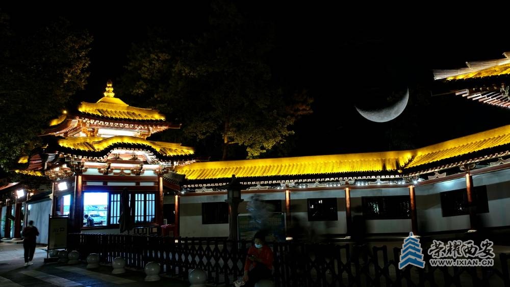 兴庆宫 严建设026.JPG