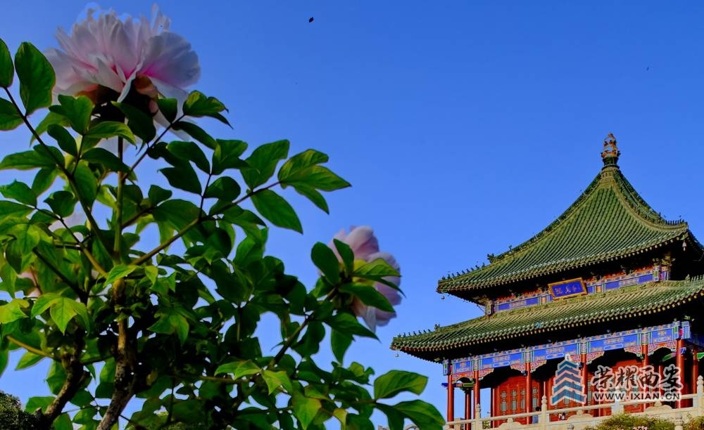 兴庆宫 严建设038.JPG