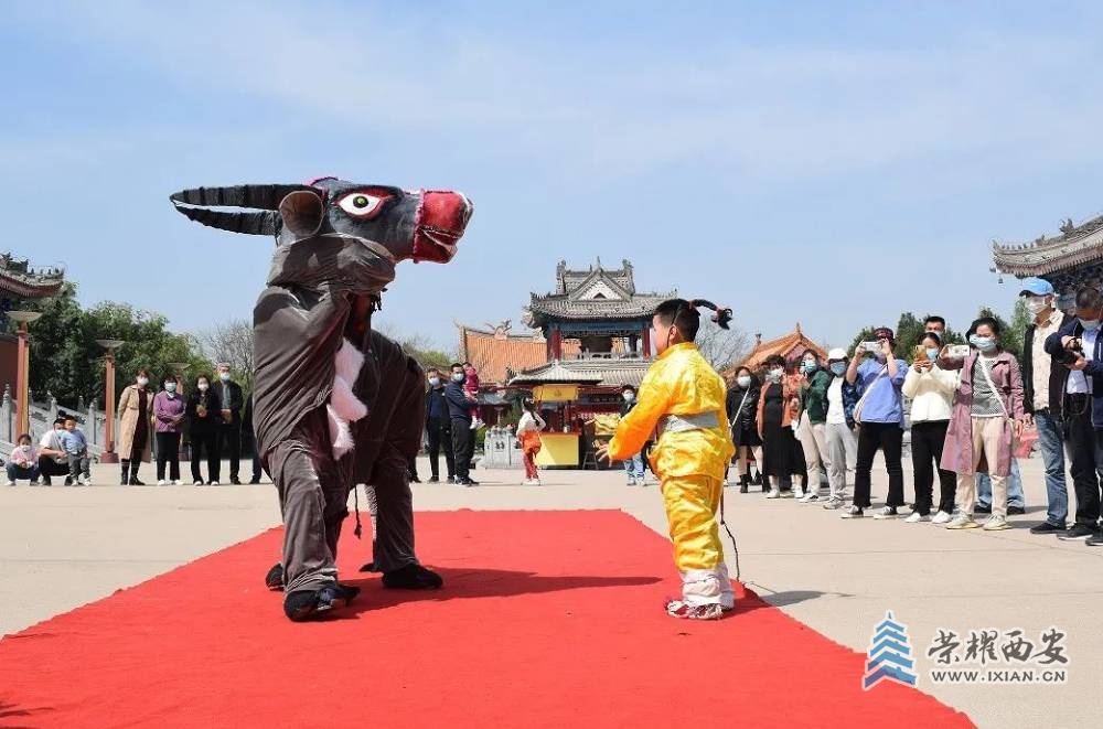 图片8.jpg
