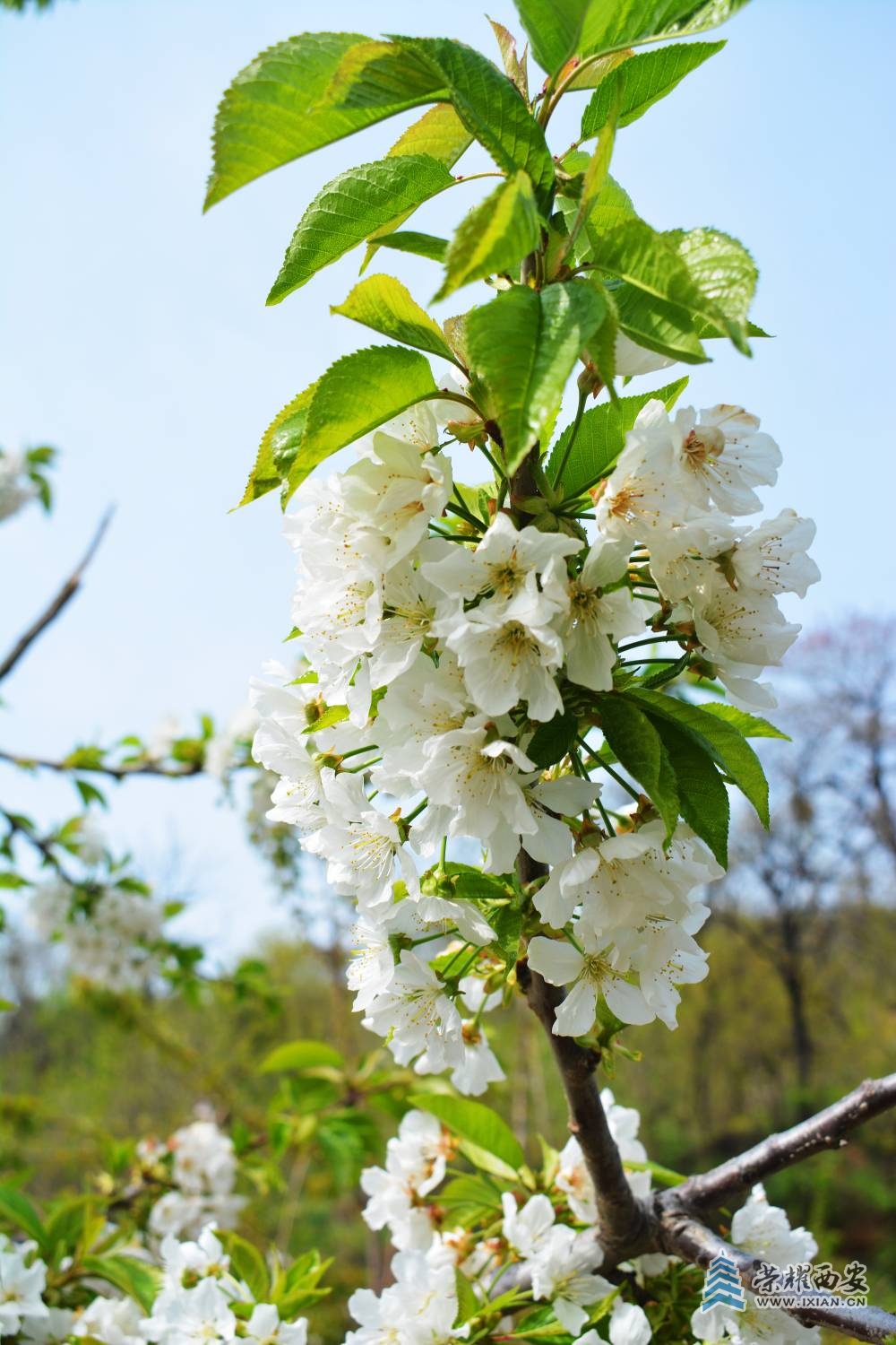 DSC_0880_副本.jpg
