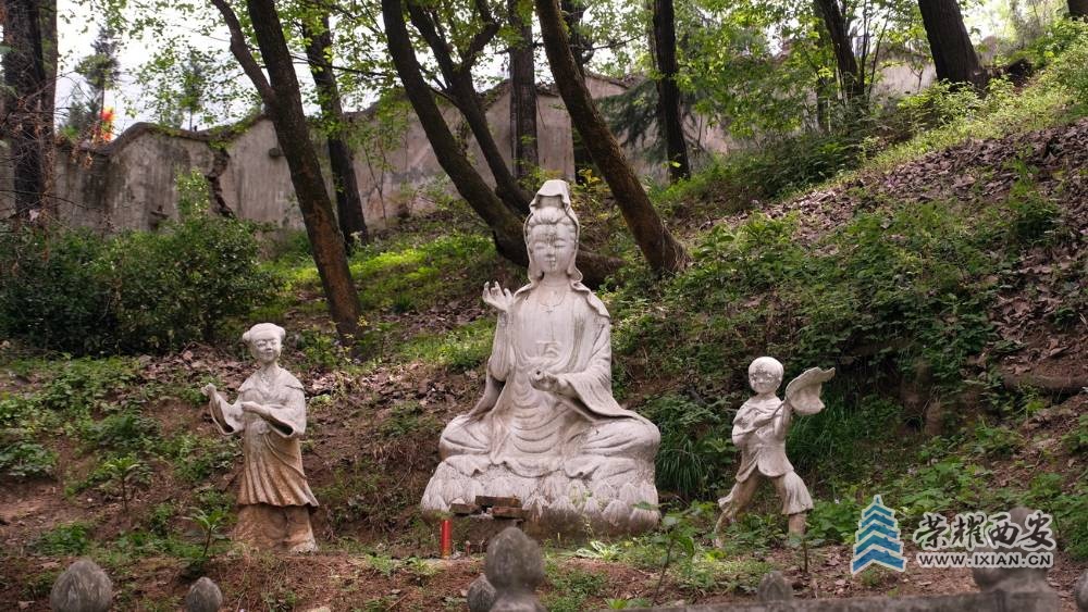 -阿姑泉牡丹苑 严建设35.JPG