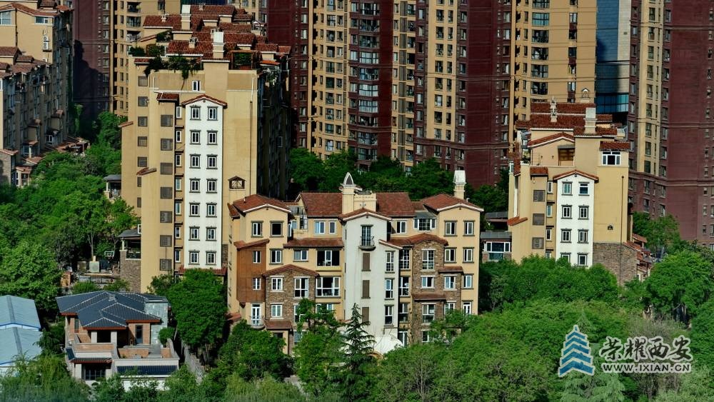 西安 严建设14.JPG