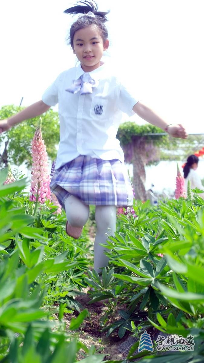 鲁冰花 严建设02.JPG