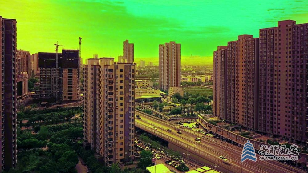 西安 严建设47.JPG