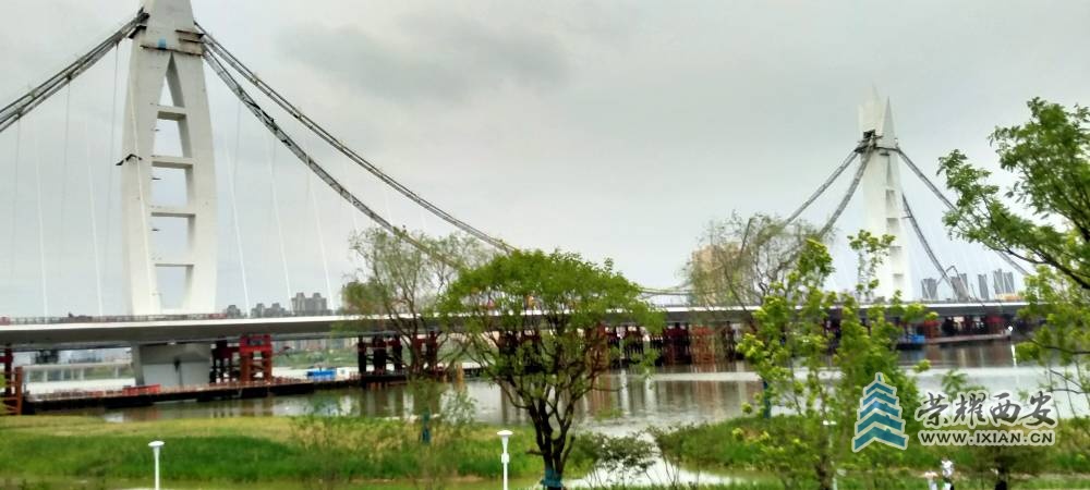 IMG20210614182619.jpg