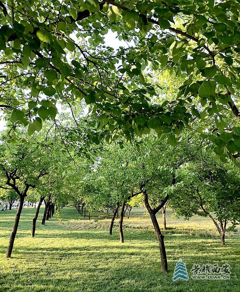 3262b88fc908675effaaf5796dcab38_副本.jpg