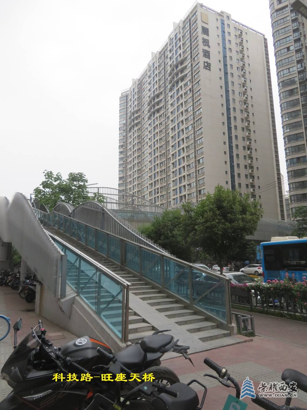 高新区天桥 (21).JPG