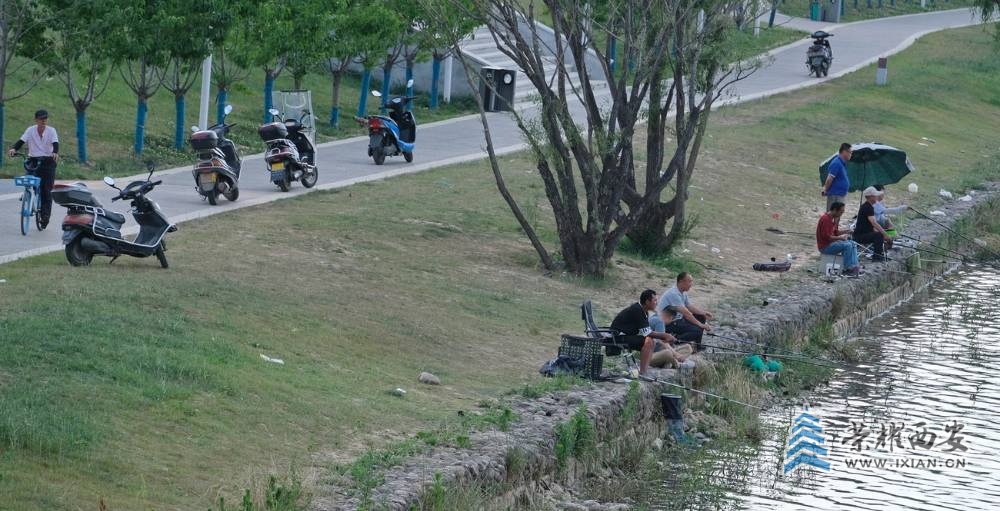 -西安 严建设F21.JPG