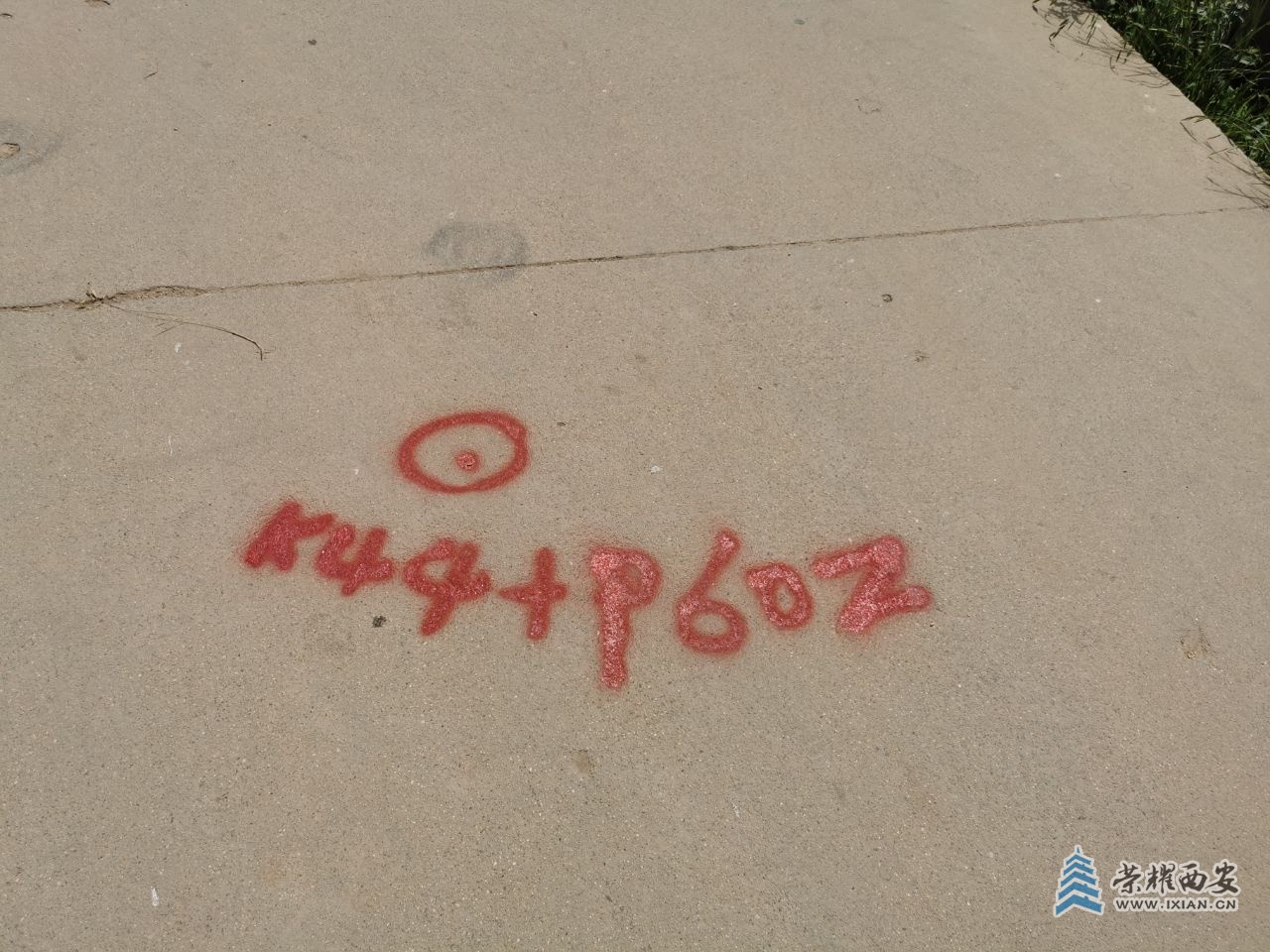 20220603163920front2_0_80028_Fl_g0ShjBM1ZGp5rWwMCGIddagb_.jpg