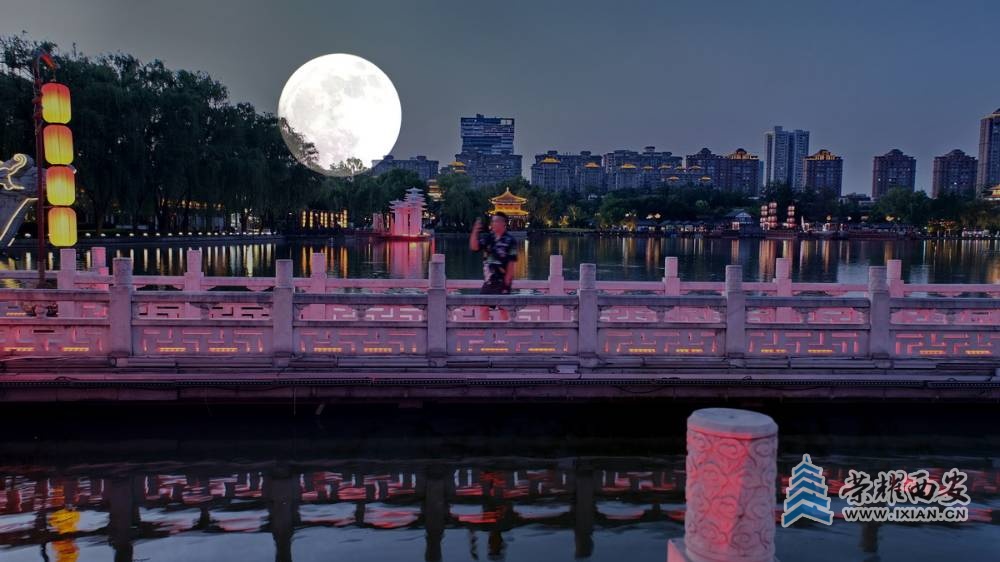 大唐芙蓉园 严建设0024.JPG