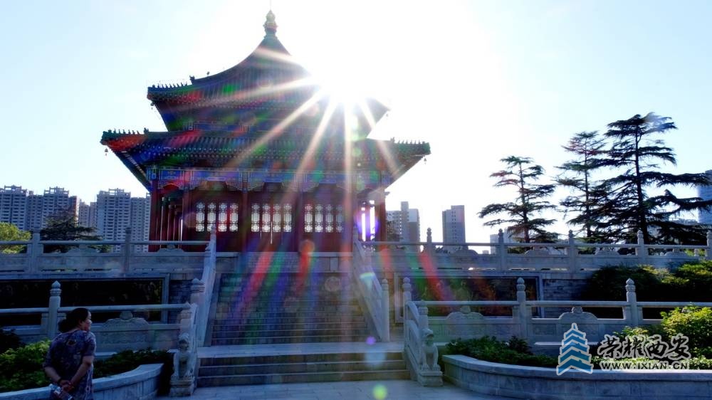 兴庆宫公园 严建设012.JPG