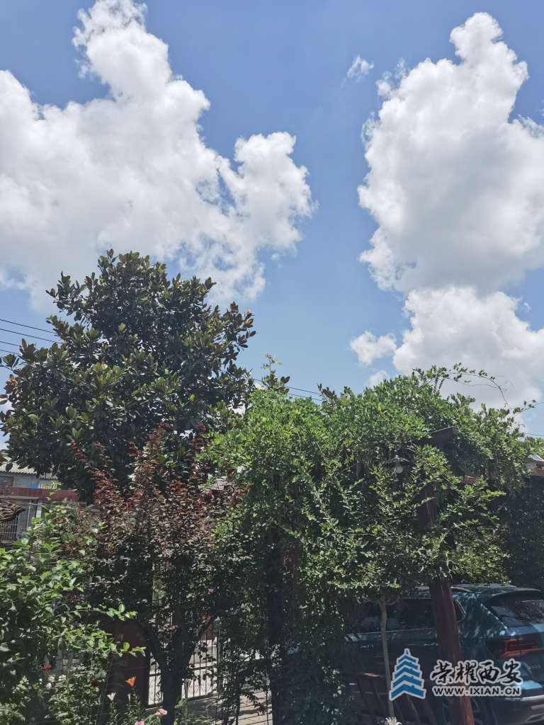 20220620212605front2_0_639129_Fhqt3p8WM6hFzYOhLVOhCXX4V3Wg.jpg